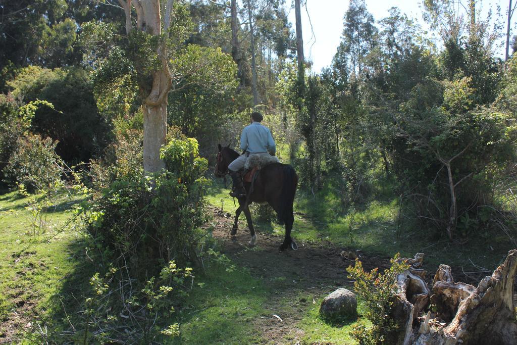 Refugio Pullao Otel Quilquico Dış mekan fotoğraf
